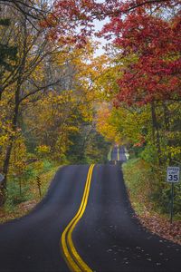 Preview wallpaper road, marking, forest, trees, autumn, landscape