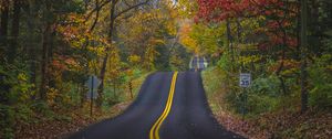 Preview wallpaper road, marking, forest, trees, autumn, landscape