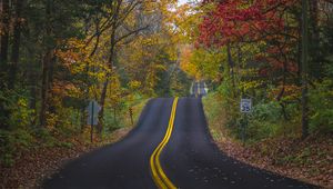 Preview wallpaper road, marking, forest, trees, autumn, landscape
