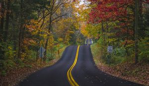 Preview wallpaper road, marking, forest, trees, autumn, landscape