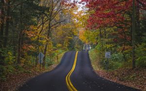 Preview wallpaper road, marking, forest, trees, autumn, landscape