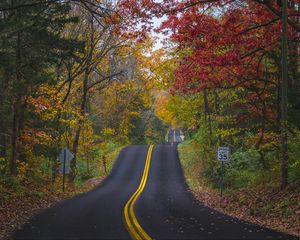 Preview wallpaper road, marking, forest, trees, autumn, landscape