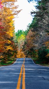Preview wallpaper road, marking, forest, trees, autumn, nature, landscape
