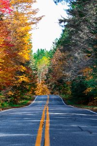 Preview wallpaper road, marking, forest, trees, autumn, nature, landscape