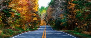 Preview wallpaper road, marking, forest, trees, autumn, nature, landscape