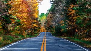 Preview wallpaper road, marking, forest, trees, autumn, nature, landscape