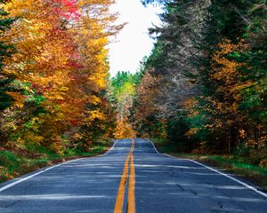 Preview wallpaper road, marking, forest, trees, autumn, nature, landscape