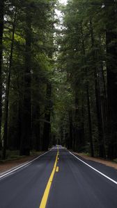 Preview wallpaper road, marking, forest, trees, landscape