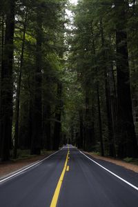 Preview wallpaper road, marking, forest, trees, landscape