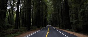 Preview wallpaper road, marking, forest, trees, landscape