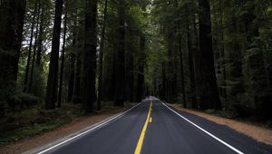 Preview wallpaper road, marking, forest, trees, landscape