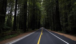 Preview wallpaper road, marking, forest, trees, landscape