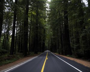 Preview wallpaper road, marking, forest, trees, landscape