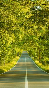 Preview wallpaper road, marking, greens, summer, trees