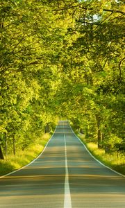 Preview wallpaper road, marking, greens, summer, trees