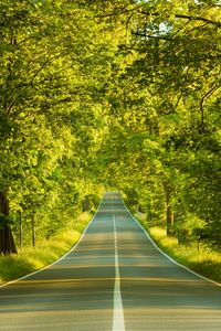 Preview wallpaper road, marking, greens, summer, trees