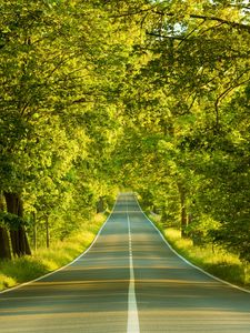 Preview wallpaper road, marking, greens, summer, trees