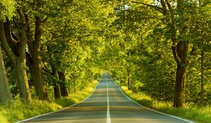 Preview wallpaper road, marking, greens, summer, trees