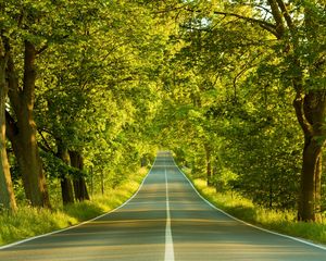 Preview wallpaper road, marking, greens, summer, trees