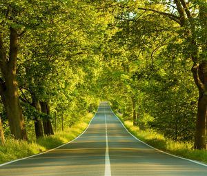 Preview wallpaper road, marking, greens, summer, trees