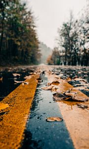 Preview wallpaper road, marking, leaves, autumn, wet