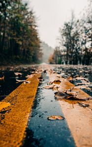 Preview wallpaper road, marking, leaves, autumn, wet