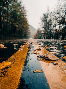 Preview wallpaper road, marking, leaves, autumn, wet