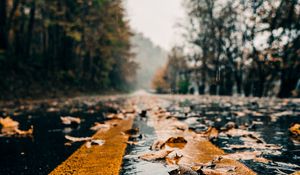 Preview wallpaper road, marking, leaves, autumn, wet