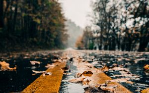 Preview wallpaper road, marking, leaves, autumn, wet