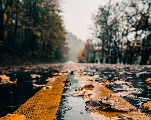 Preview wallpaper road, marking, leaves, autumn, wet