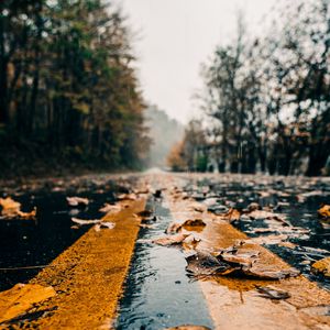 Preview wallpaper road, marking, leaves, autumn, wet