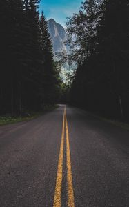 Preview wallpaper road, marking, mountains, forest, trees