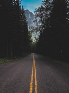 Preview wallpaper road, marking, mountains, forest, trees