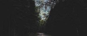 Preview wallpaper road, marking, mountains, forest, trees