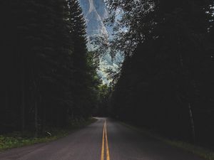 Preview wallpaper road, marking, mountains, forest, trees