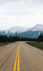 Preview wallpaper road, marking, mountains, spruce, trees