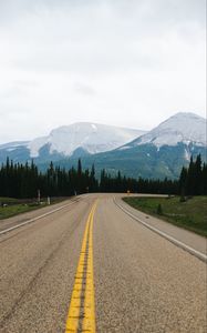 Preview wallpaper road, marking, mountains, spruce, trees