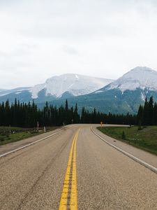 Preview wallpaper road, marking, mountains, spruce, trees