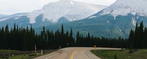 Preview wallpaper road, marking, mountains, spruce, trees
