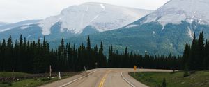 Preview wallpaper road, marking, mountains, spruce, trees