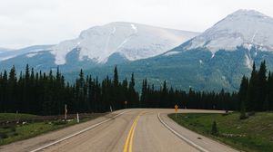 Preview wallpaper road, marking, mountains, spruce, trees