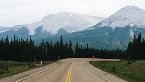 Preview wallpaper road, marking, mountains, spruce, trees