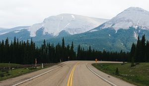 Preview wallpaper road, marking, mountains, spruce, trees