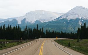 Preview wallpaper road, marking, mountains, spruce, trees