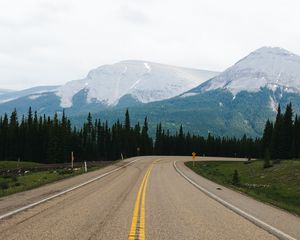 Preview wallpaper road, marking, mountains, spruce, trees