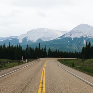 Preview wallpaper road, marking, mountains, spruce, trees