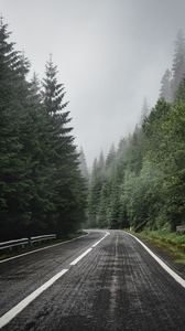 Preview wallpaper road, marking, spruce, trees, forest