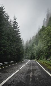 Preview wallpaper road, marking, spruce, trees, forest