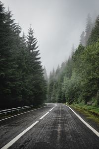 Preview wallpaper road, marking, spruce, trees, forest