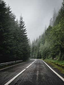 Preview wallpaper road, marking, spruce, trees, forest